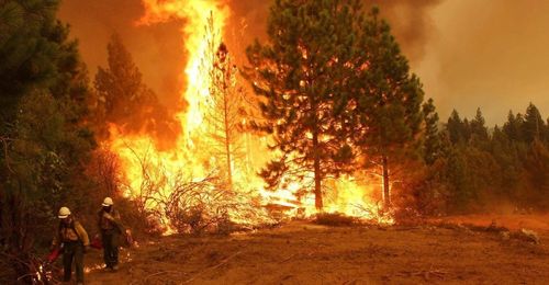 Буруулугда бурган чок