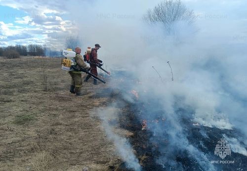 Бот-харыысалганы күштелдирери чугула