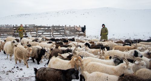 Агаар-бойдус берге-даа болза...