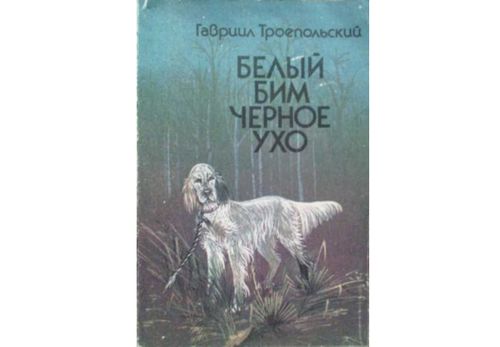 КАРА КУЛАКТЫГ АК БИМ (Тоожудан эге)