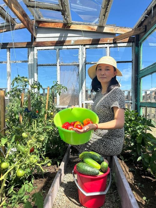 Чаагай дүжүт