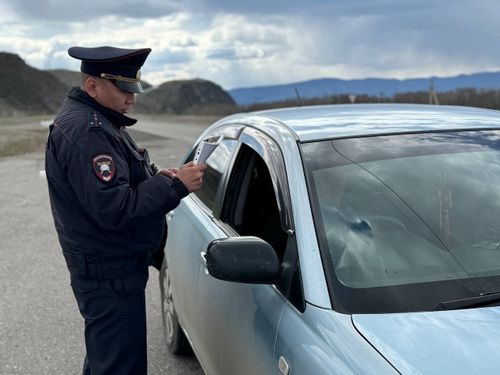 Мегечиге алзы кааптар....