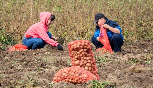 Ачы-буян шөлдеринде