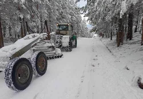 Тывада регионалдыг болгаш федералдыг оруктарны аштап турар