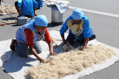 Хой дүгүнден кидис