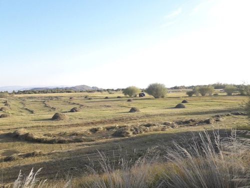 Күскү ажылдар.