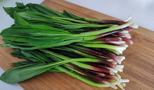 Хылба — арга-арыг витамини