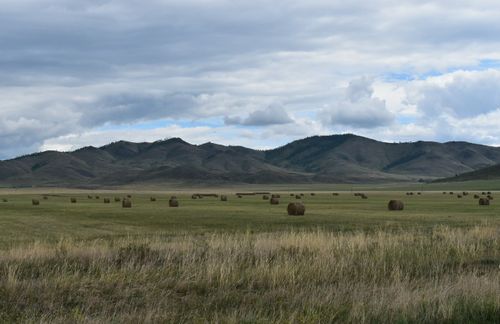 Чаа-Хөлдүң сигенчилеринде.