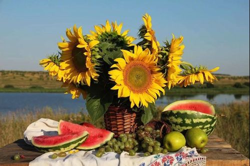 Элбек, тодуг ай…