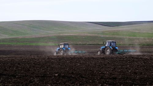 Часкы хүн чылды чемгерер