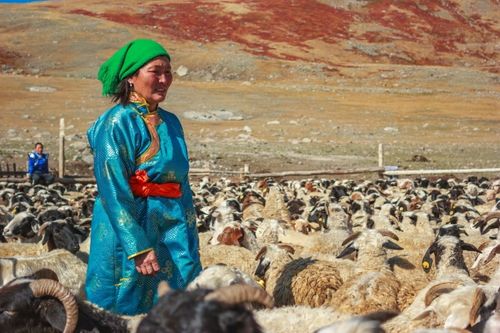 Малчыннарга деткимче бооп болур