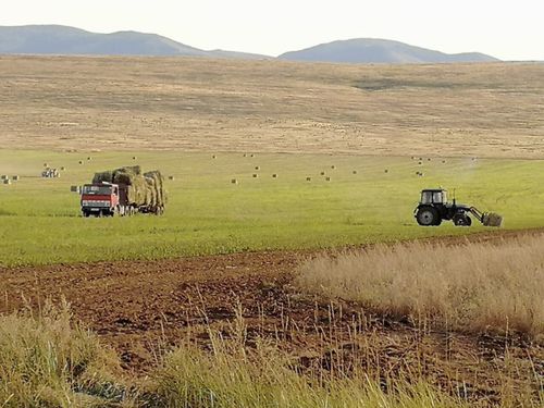 Владислав Ховалыг Таңдының фермерлери-биле ужурашкан