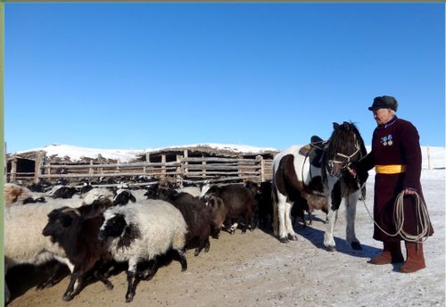 УКСААЛЫГ ӨШКҮ МАЛДЫ ӨСТҮРҮП КӨВҮДЕДИР