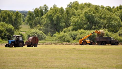 Чеден хуузун курлавырлаан