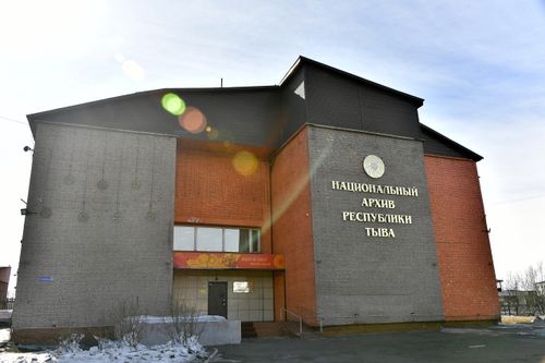 Аныяк салгалга сонуурганчыг