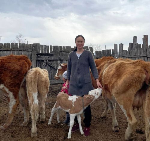 Хууда ажыл-агыйлыглар немежип турар