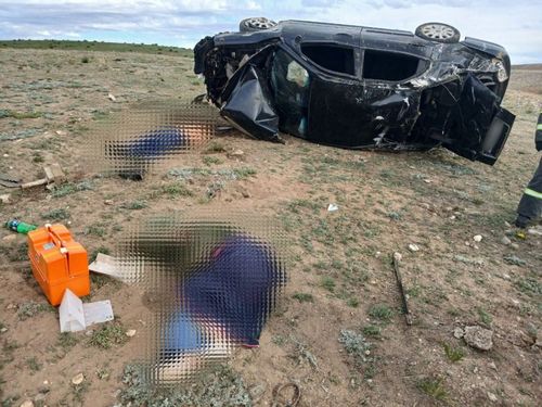 Дайын-чаада дег...