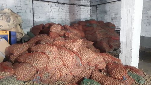 Улуг-Хемде “Улусчу картофель”