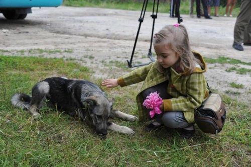 Ажы-төлдү ыттан камгалаары