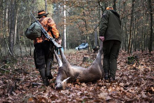 Төтчеглекчи туттурган