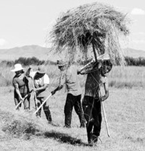 ДЕМНИГ АЖЫЛДААР