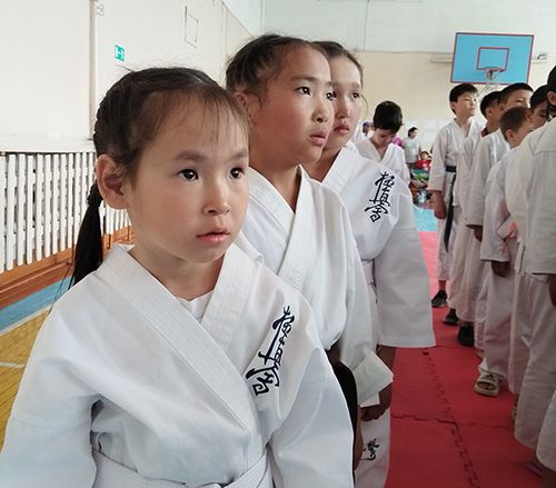 Чалыы каратэжилер