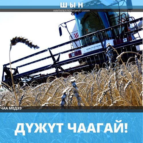 ДҮЖҮТ ЧААГАЙ!