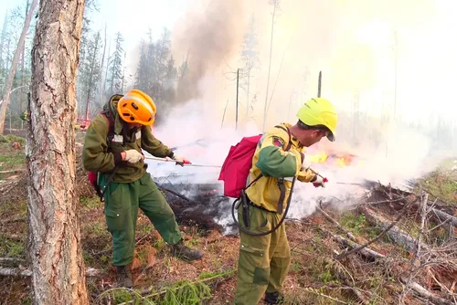 Дүрген хөделир ажылды күштелдирер