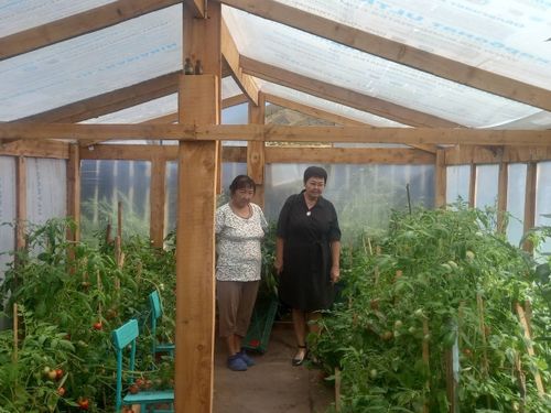 Ногаажының элбек дүжүдү