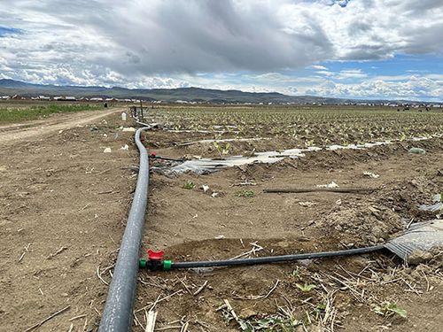 Дамдыладып суггарары