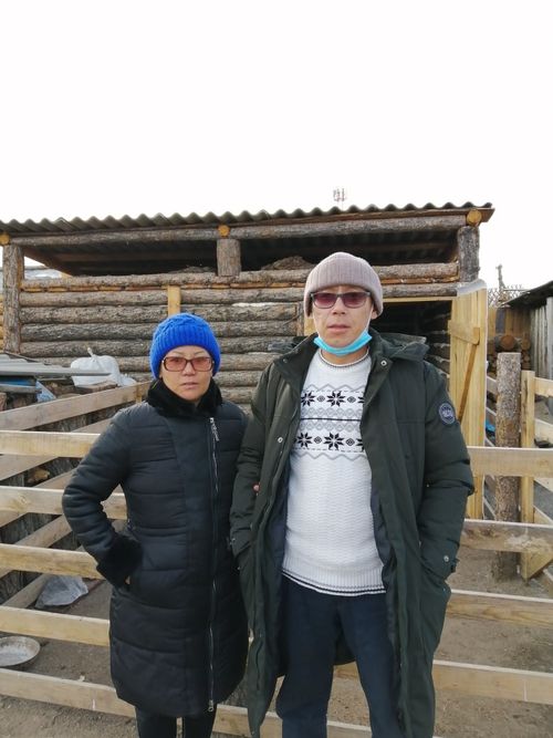 Төлевилел боттаныышкында