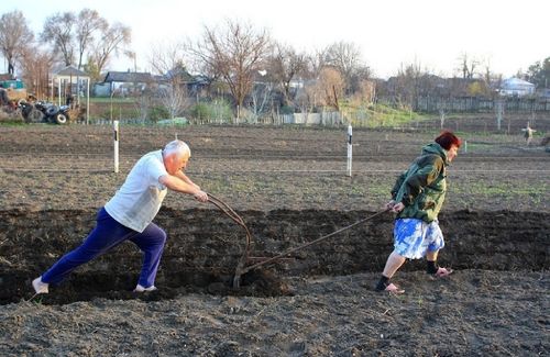 Апрель айда огородка кылыр ажылдар
