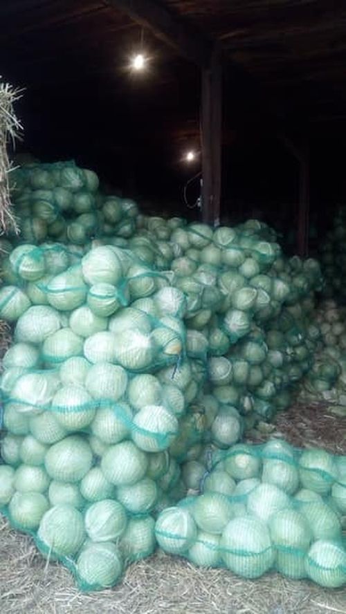 Сайгарлыкчыларны деткип турар