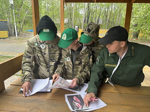 Арга-арыг камгалаар салгал