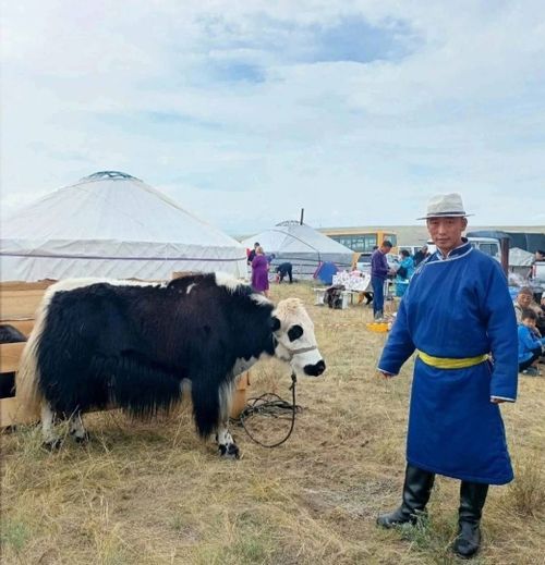 Тес-Хемниң сарлыкчызы Омак Ак-оол