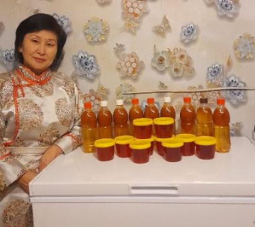 Тываның 850 хире чурттакчызы «социал керээ»-биле боттарының ажыл-херээн ажытканнар