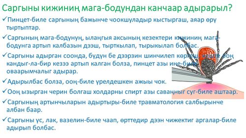 Саргыны кижиниң мага-бодундан адырары