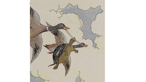 Языты-мелегей биле кастар