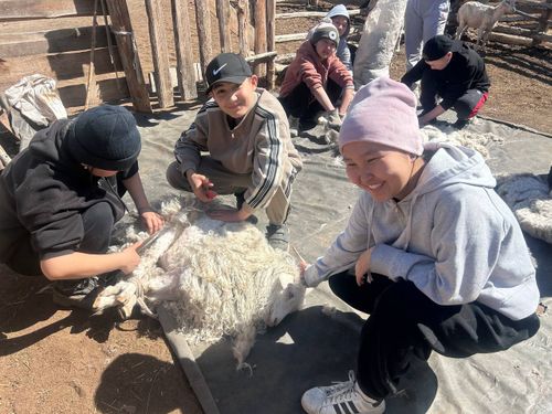 Ангор ɵшкү кыргааннар