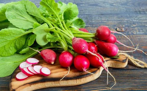 Редиска