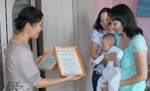 58 муң ажыг өг-бүле ие капиталын ажыглаан