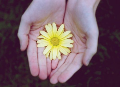 ӨӨРЕДИГЛИГ ЧУГААЛАР