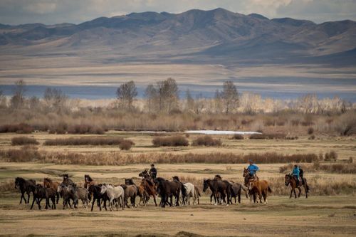 Он ийи деп сан