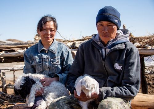 Дөргүнде дешкилешкен анай-хураган