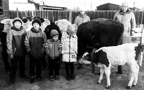 Төлевилел боттаныышкында