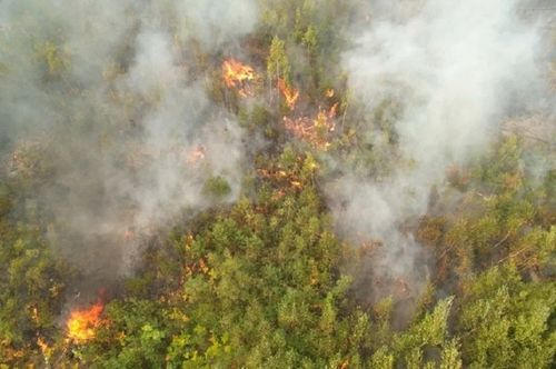 Тыва Республикада өрттер болгаш үерлээшкин талазы-биле оперативтиг байдал