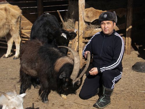 Чедиишкинниң бадыткалы – шаңнал-мактал