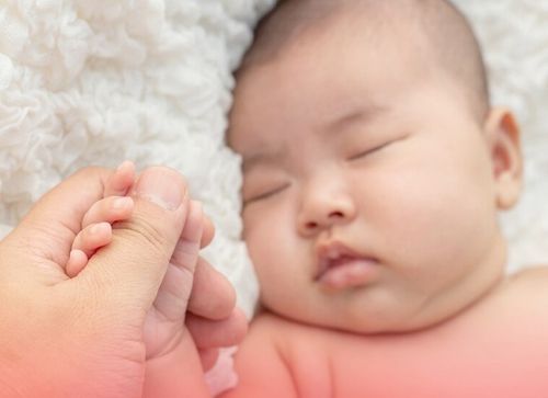 Дун уругларга деткимче