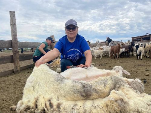 Ажыктыг болгаш солун мөөрей