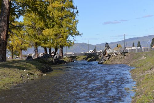 Тываның база бир кайгамчык булуңу